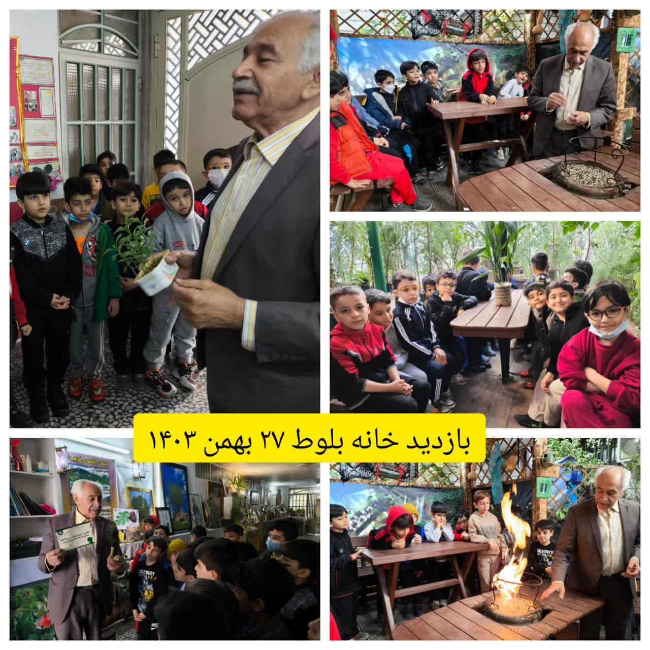 بازدید خاله بلوط