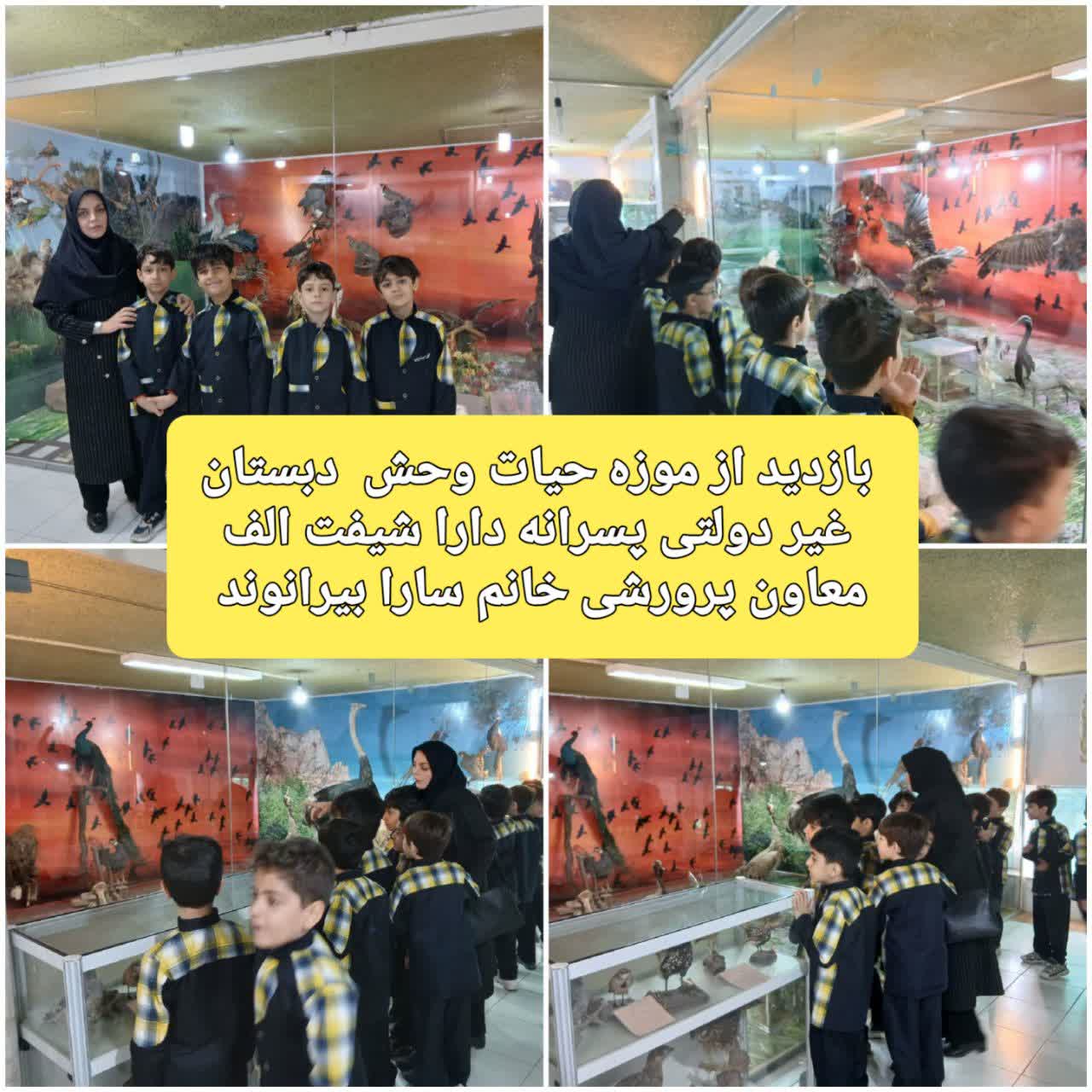 بازدید از موزه حیات وحش.jpg