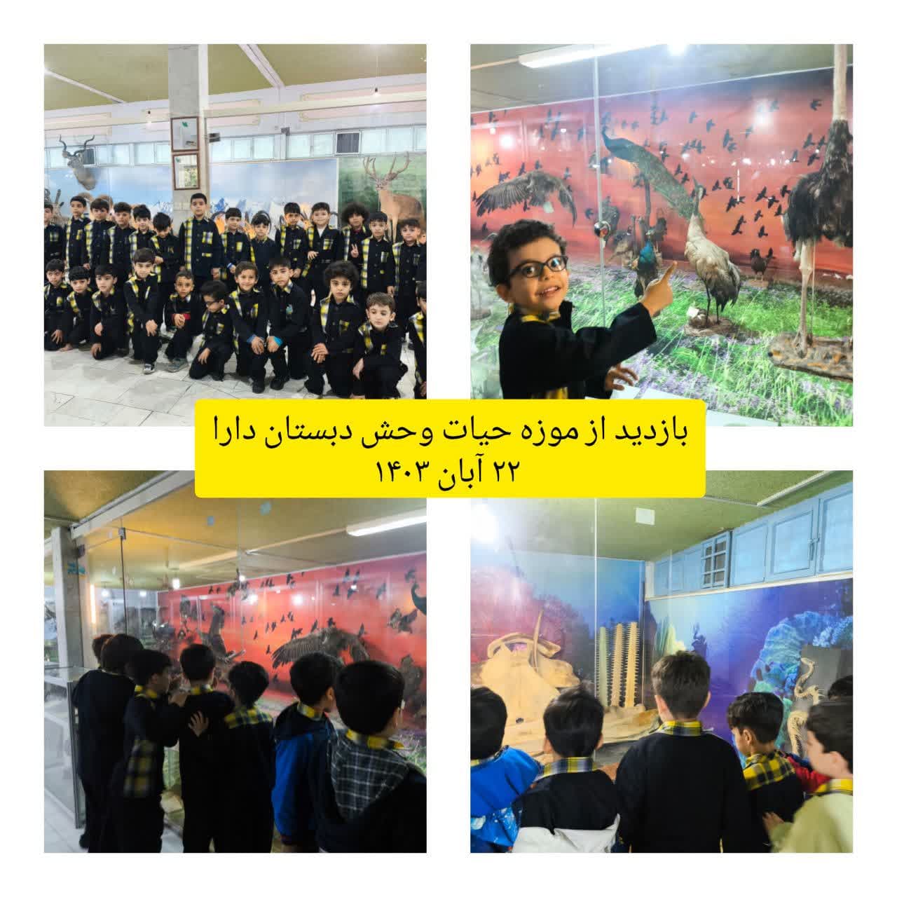 بازدید از موزه حیات وحش