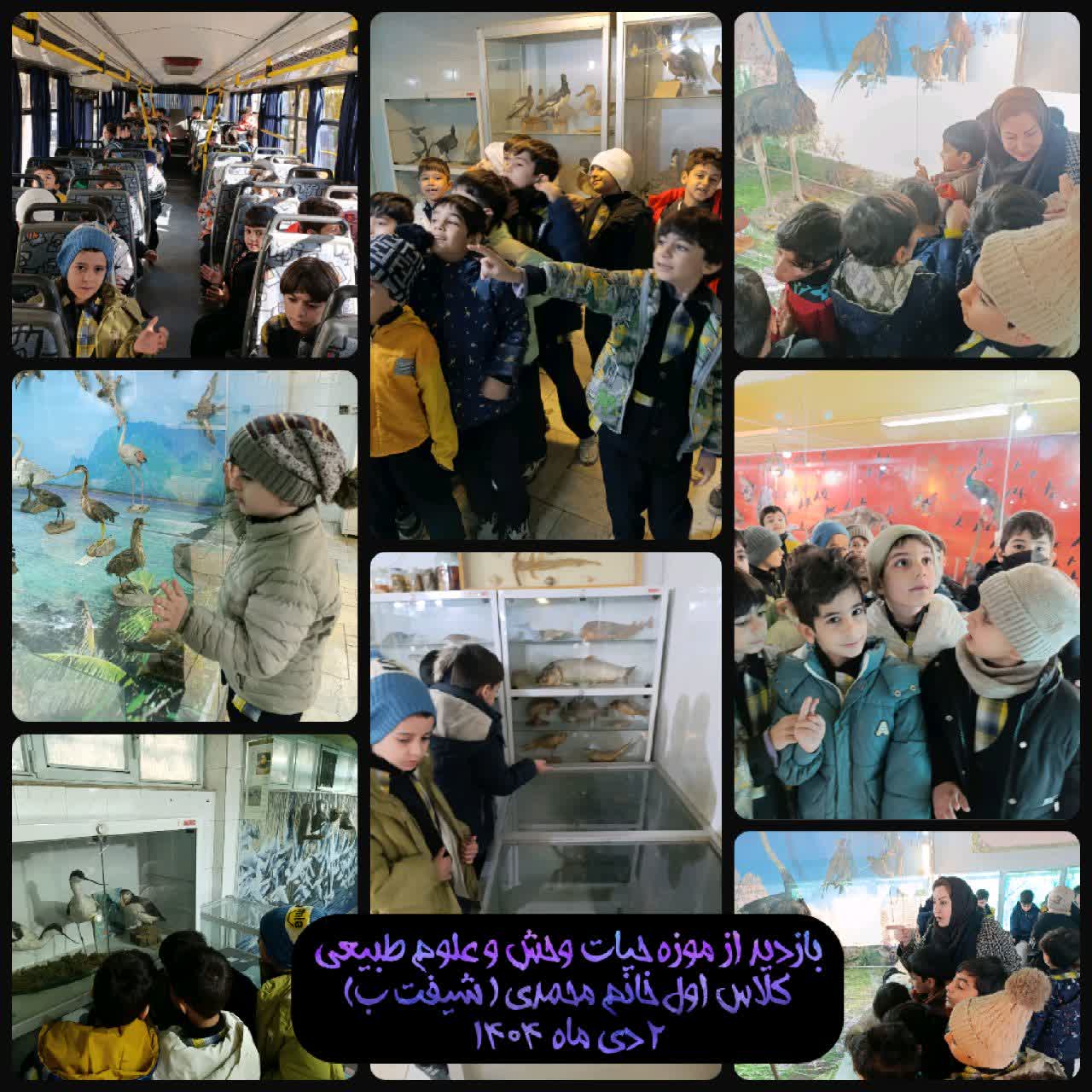 بازدید از موزه حیات وحش و علوم طبیعی.jpg