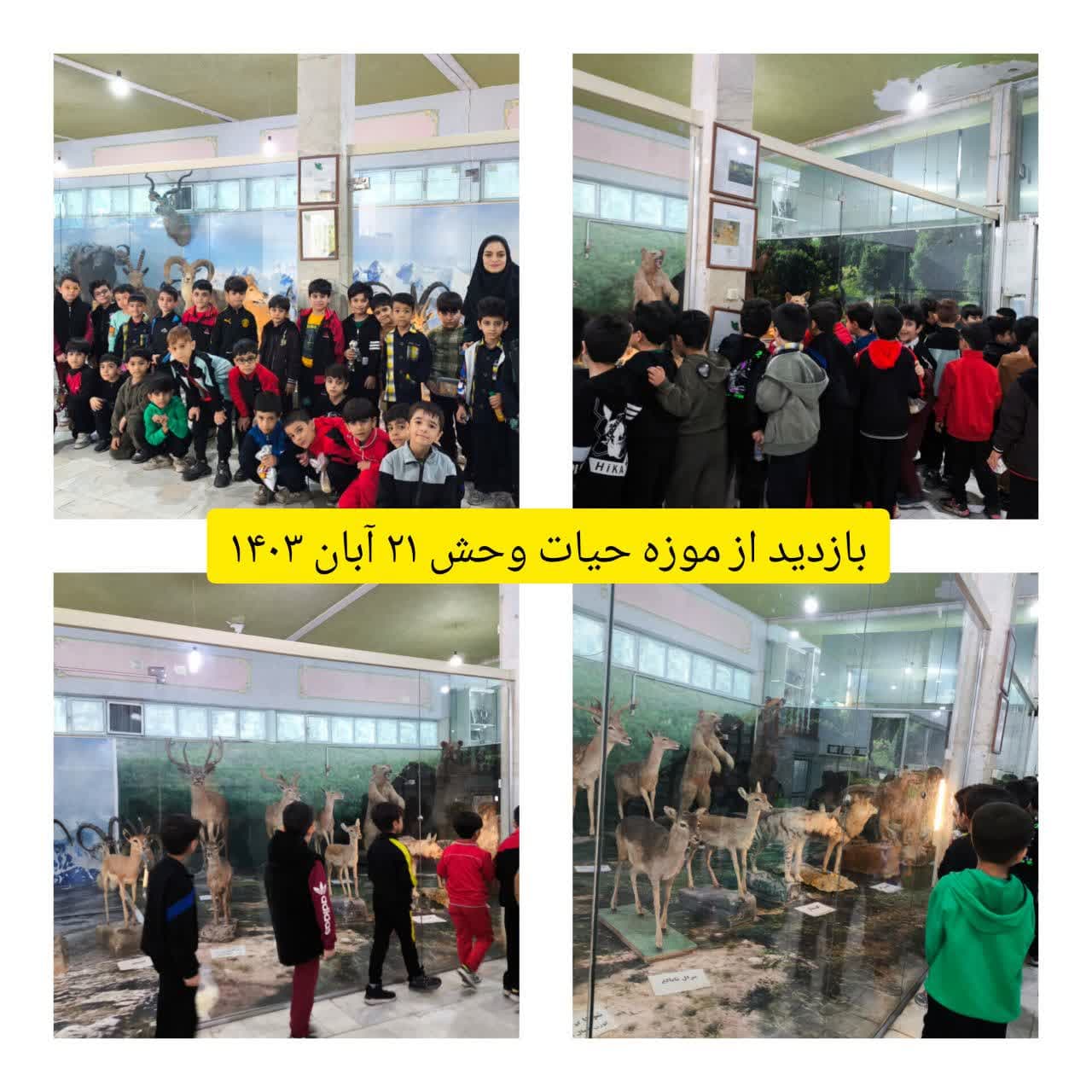 بازدید از موزه حیات وحش