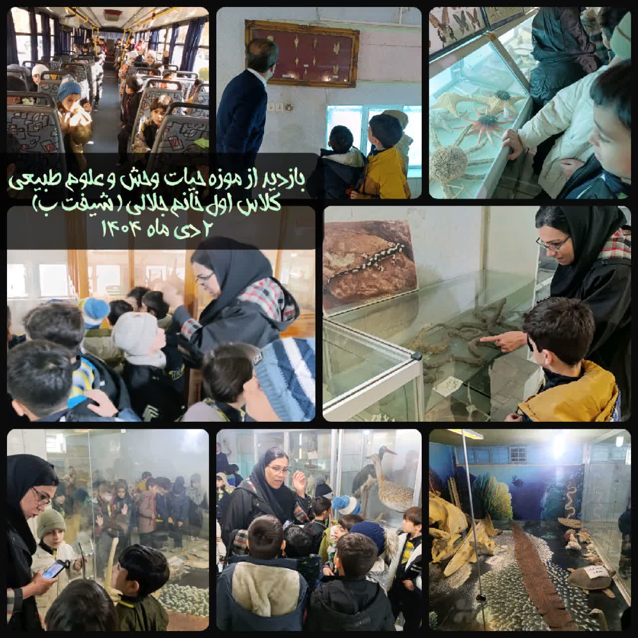 بازدید از موزه حیات وحش.jpg